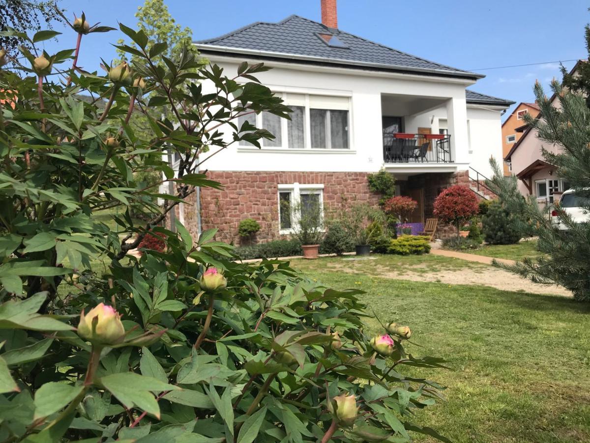 Levendula Apartmanhaz Badacsonytomaj Eksteriør bilde